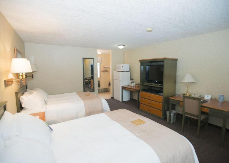 Lakeview Inn & Suites Hinton image