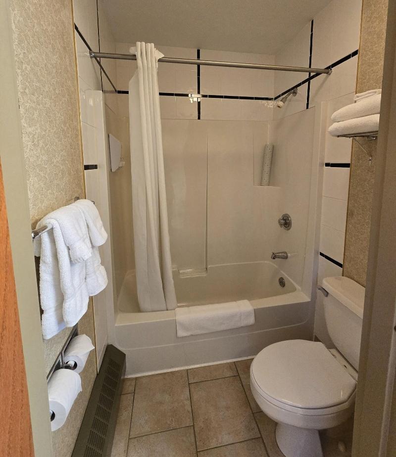Lakeview Inn & Suites Hinton image