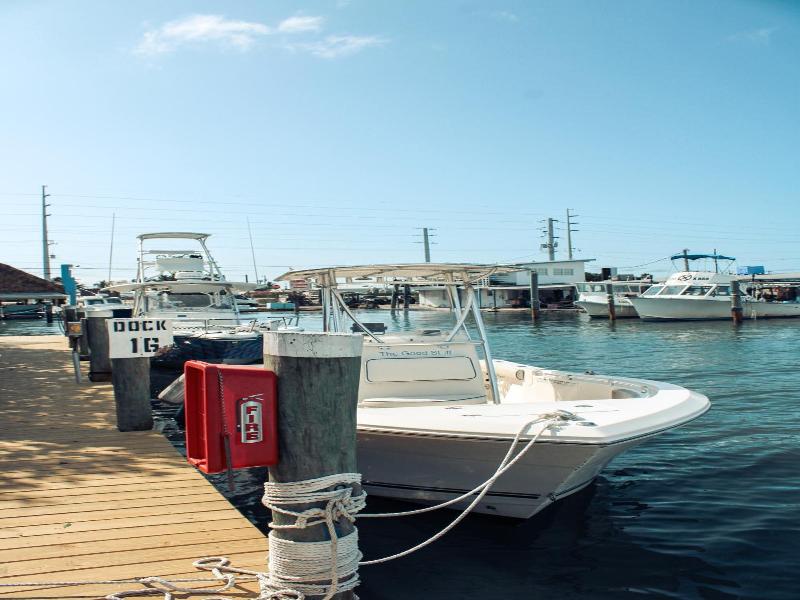Captain Pips Marina & Hideaway image