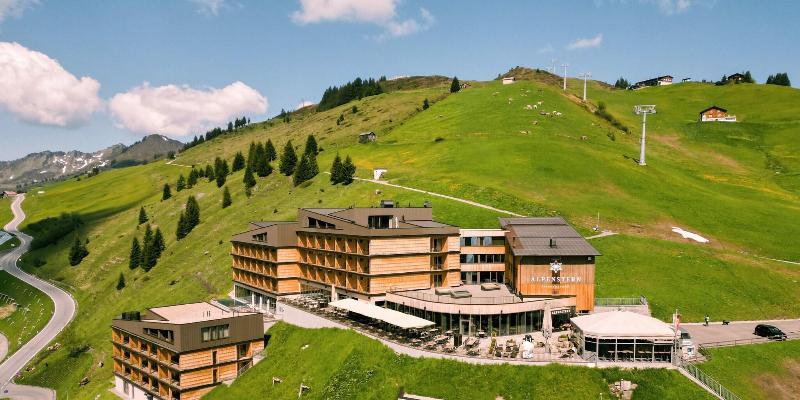 Alpenstern image