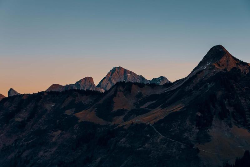 Alpenstern image