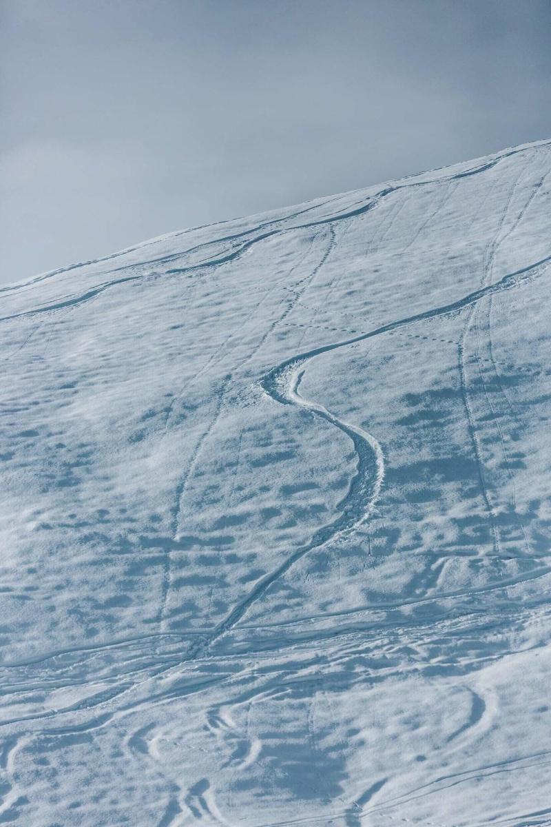 Alpenstern image