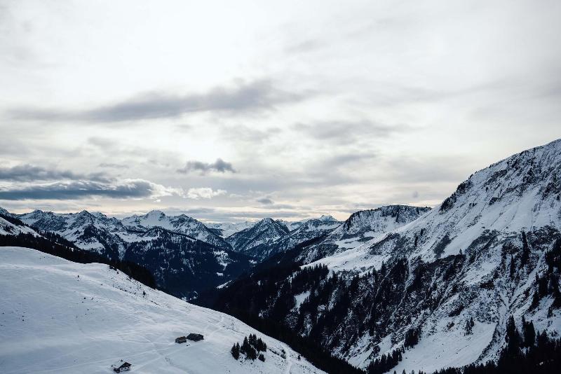 Alpenstern image