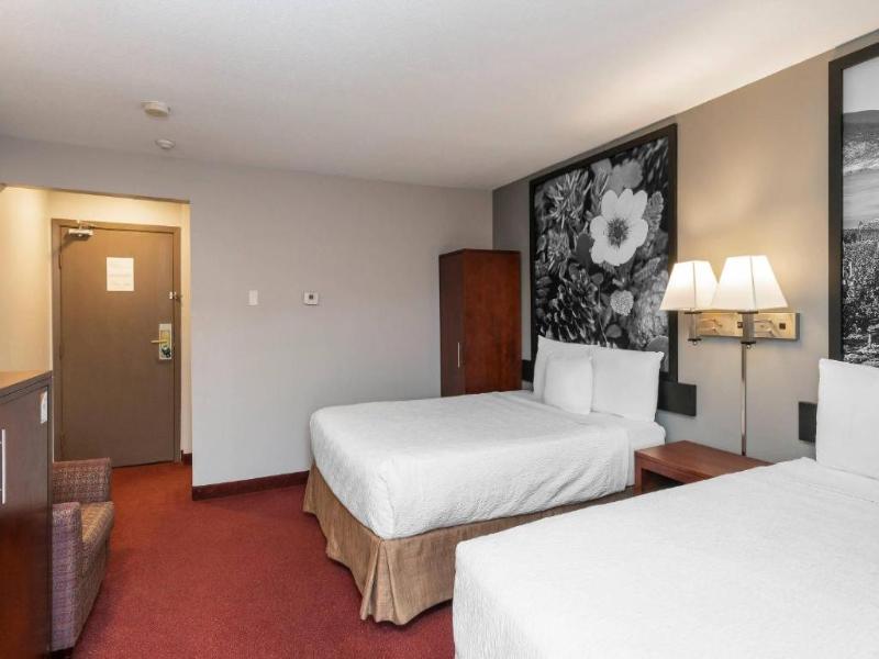 Quality Inn & Suites Vernon image