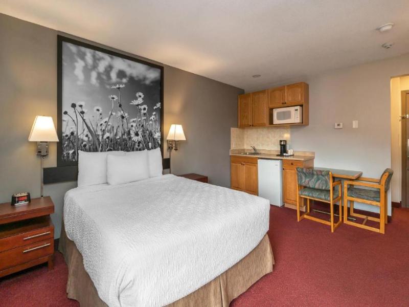 Quality Inn & Suites Vernon image