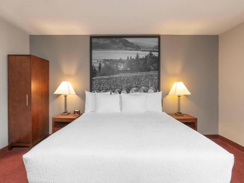 Quality Inn & Suites Vernon image