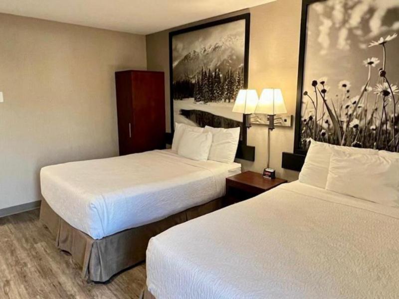 Quality Inn & Suites Vernon image
