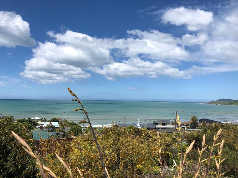 Nugget View & Kaka Point Motels image