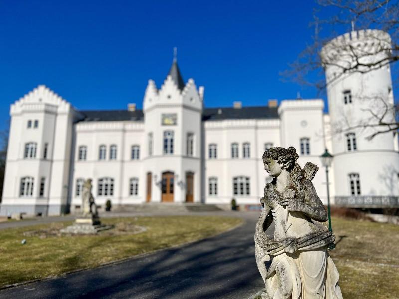 Schloss Schlemmin image