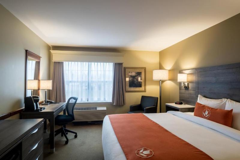 Amsterdam Inn & Suites Moncton image