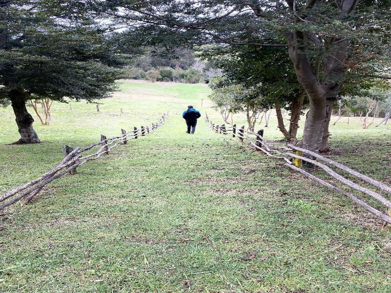 Parque Quilquico image