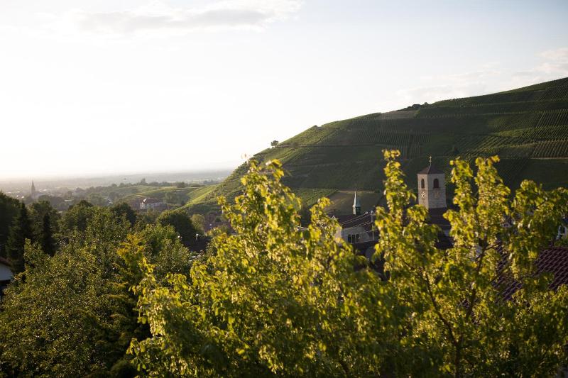 Heiligenstein image