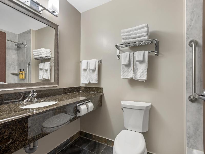Best Western Plus Brandon Inn image
