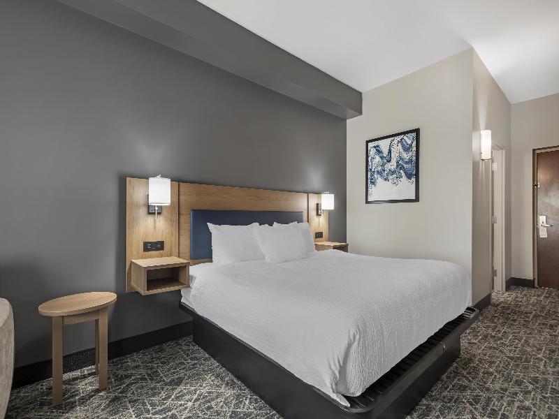 Best Western Plus Brandon Inn image