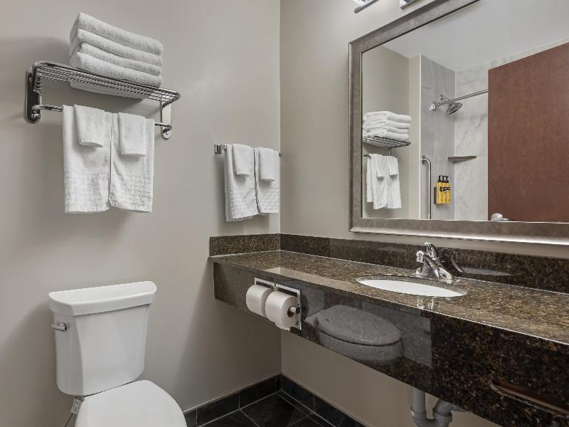 Best Western Plus Brandon Inn image