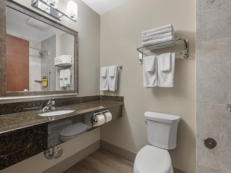Best Western Plus Brandon Inn image