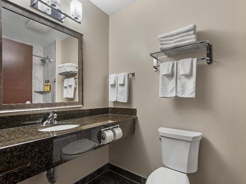 Best Western Plus Brandon Inn image