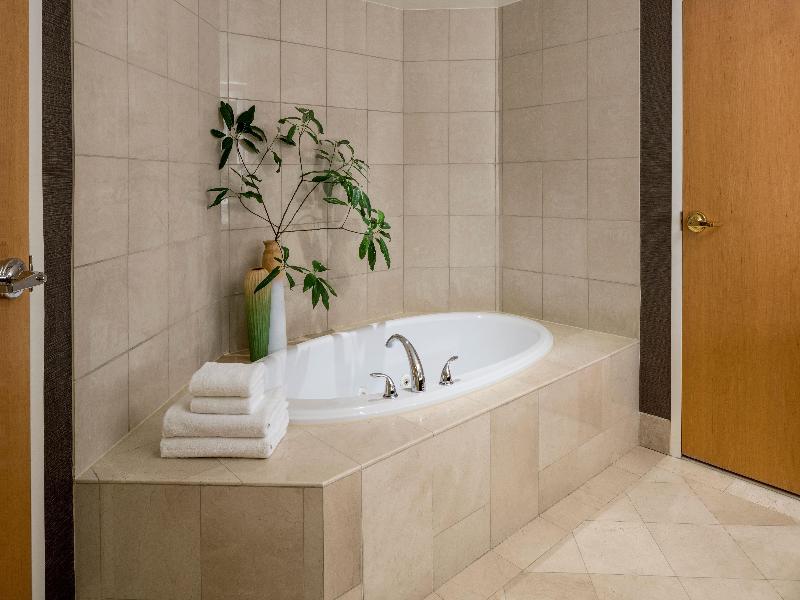 Hyatt Regency Chesapeake Bay image