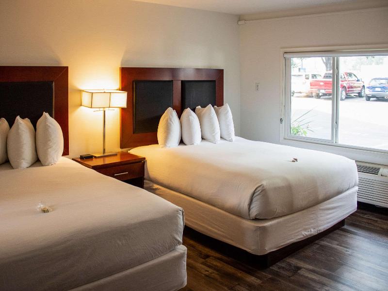 Comfort Inn & Suites image