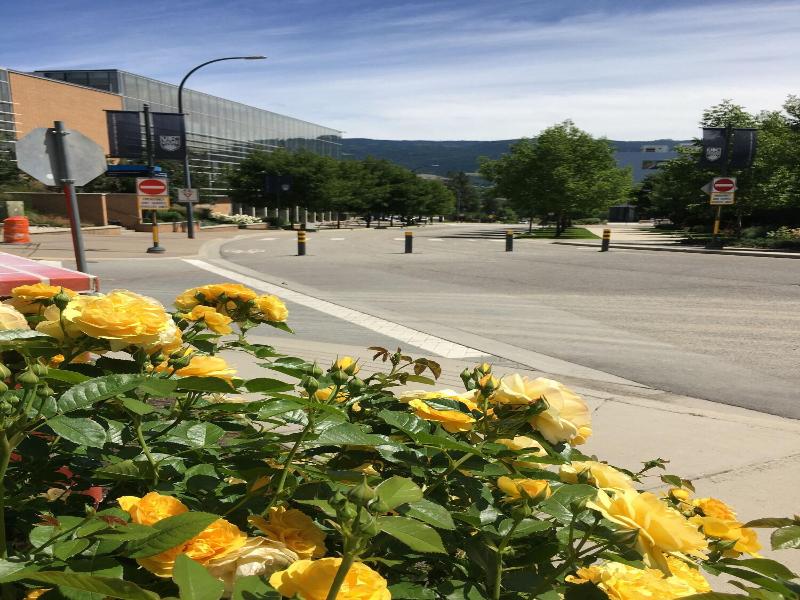 Ubc Okanagan Campus
