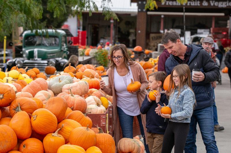 Holiday Inn Express & Suites Vernon