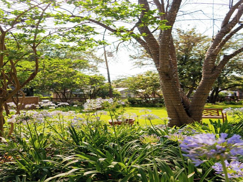 Marriott Plaza San Antonio image