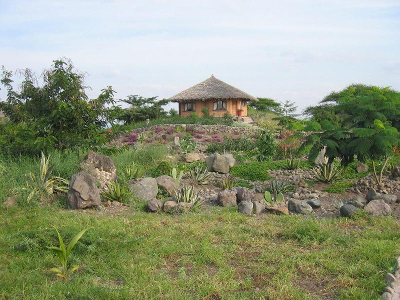 Kia Lodge image