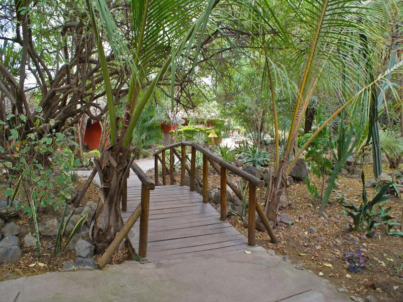 Kia Lodge image