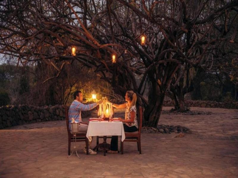 Kia Lodge image