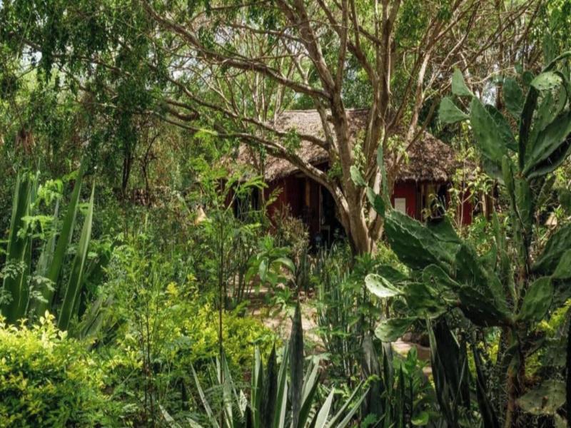 Kia Lodge image
