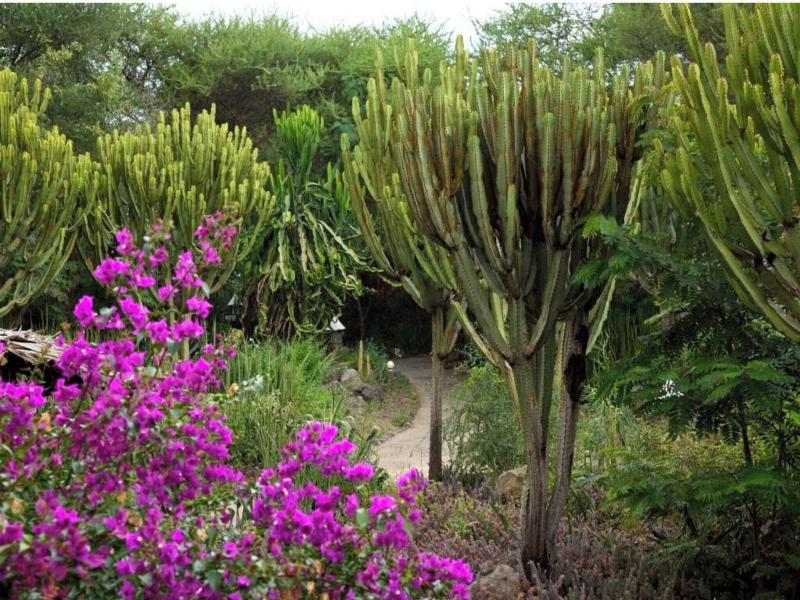 Kia Lodge image