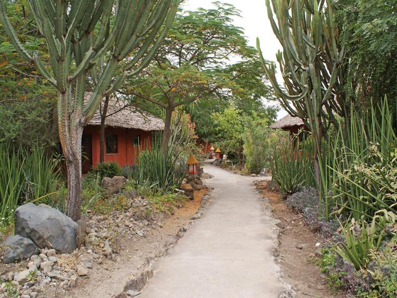 Kia Lodge image