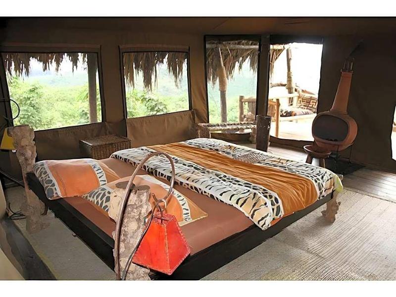 Crater Forest Tented Camp image