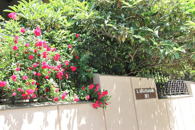 Iliani Hotel    image