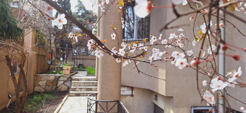 Iliani Hotel    image