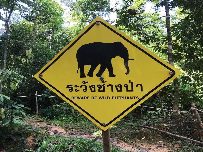 Panvaree Resort image
