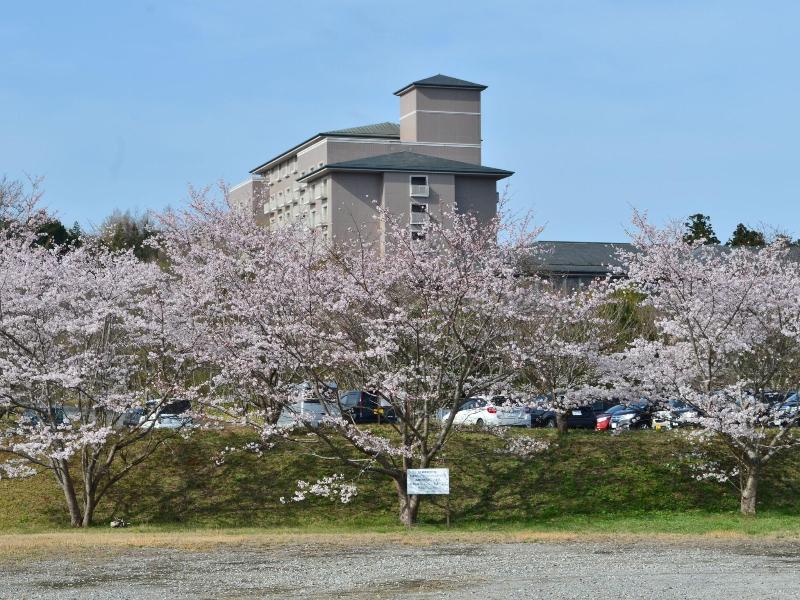 Okura Akademia Park Hotel image