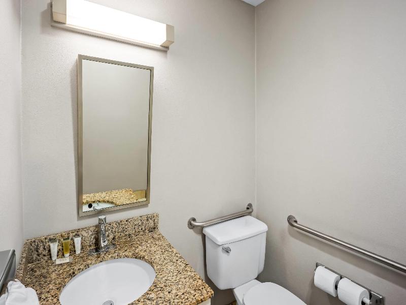 Microtel Inn & Suites By Wyndham Greensboro image