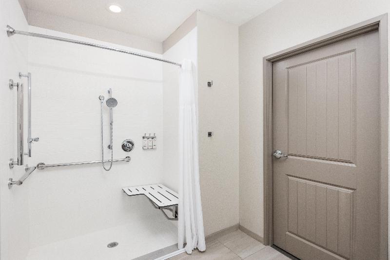 Holiday Inn Express Hotel & Suites Green Bay East image