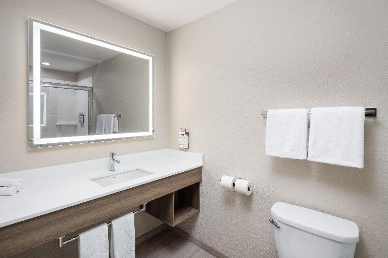 Holiday Inn Express Hotel & Suites Green Bay East image