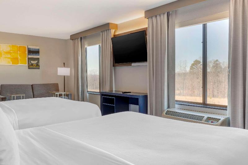 Comfort Suites Whitsett - Greensboro East image
