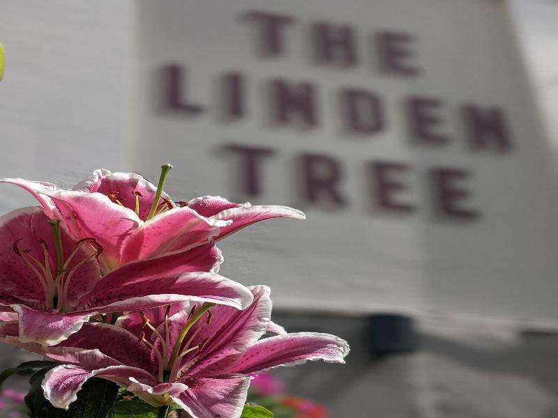 Linden Tree - Inn image