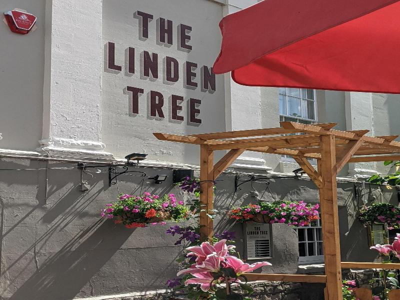 Linden Tree - Inn image