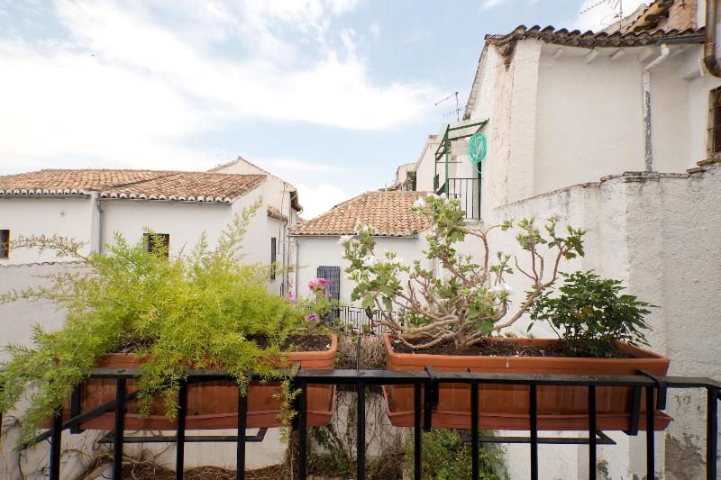 Oasis Backpackers Hostel Granada image