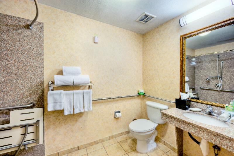 Holiday Inn Express Hotel & Suites Granbury image