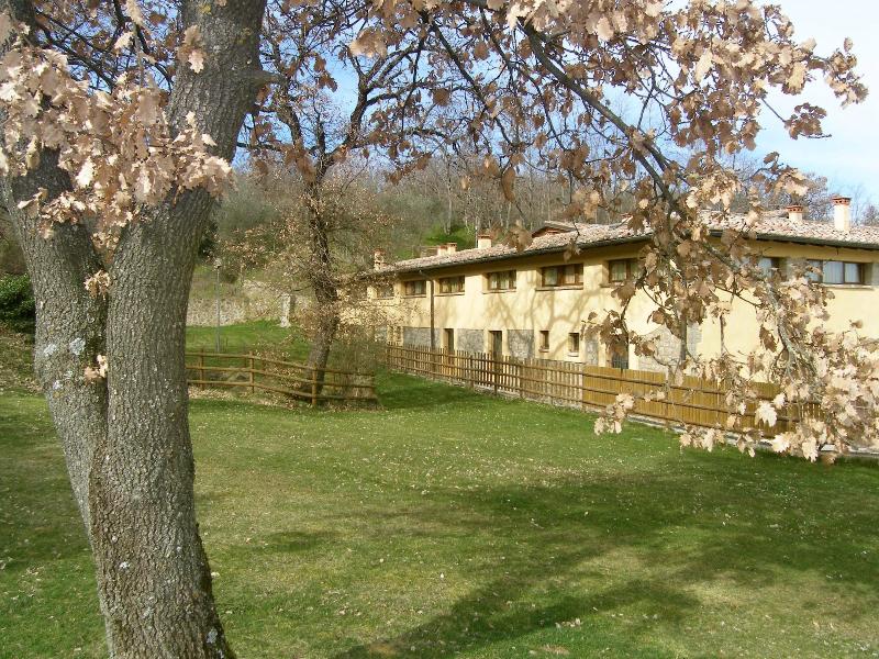Terre Gialle image