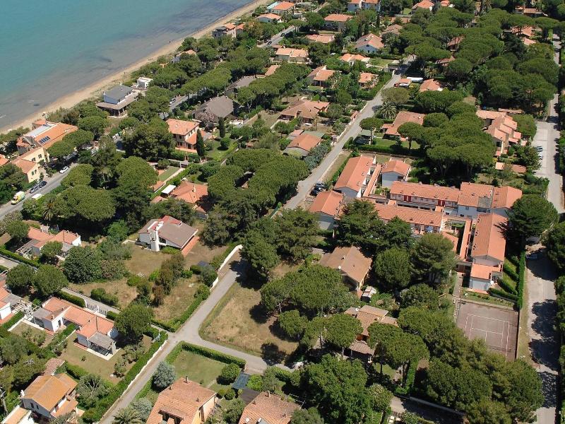 Airone image