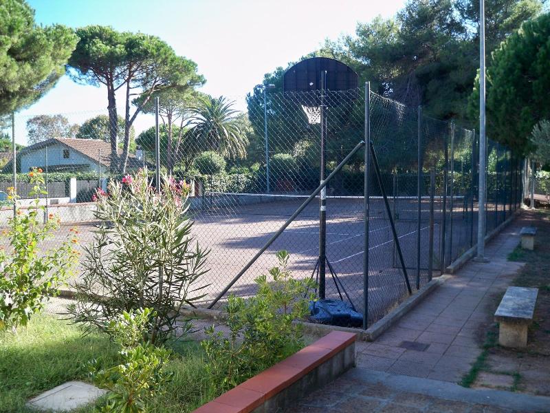 Airone image