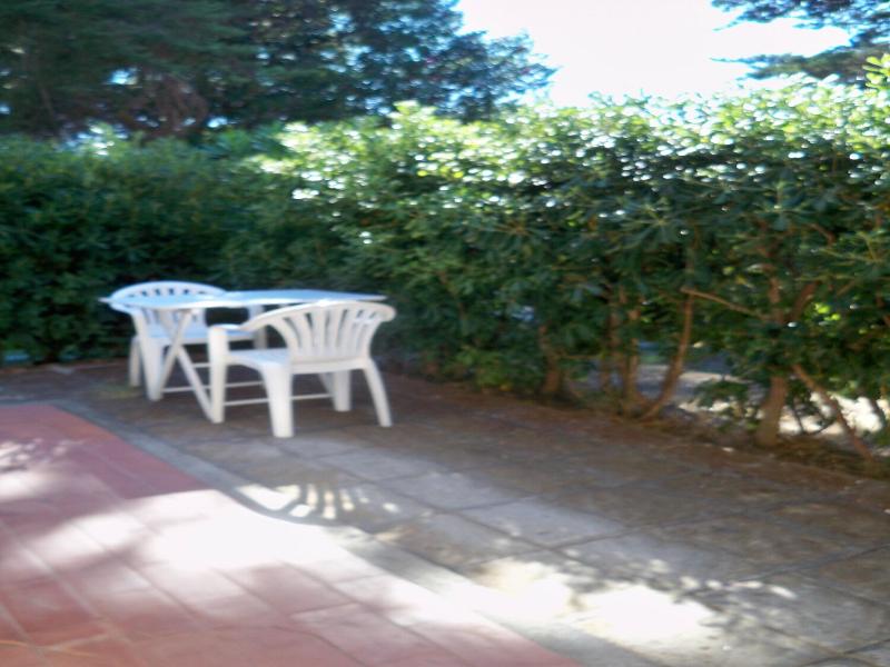 Airone image