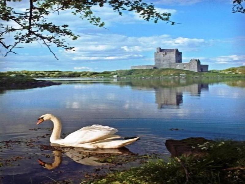 Kinvara Guesthouse image